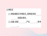 2023七年级生物下册期末复习专题五人体的自我调节作业课件新版北师大版