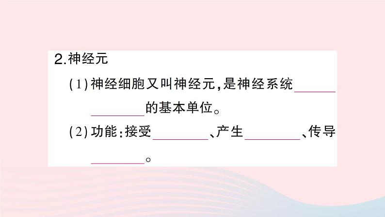 2023七年级生物下册期末复习专题五人体的自我调节作业课件新版北师大版03