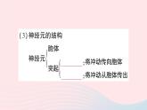 2023七年级生物下册期末复习专题五人体的自我调节作业课件新版北师大版