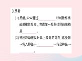 2023七年级生物下册期末复习专题五人体的自我调节作业课件新版北师大版
