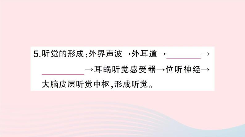 2023七年级生物下册期末复习专题五人体的自我调节作业课件新版北师大版08