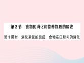 2023七年级生物下册第四单元生物圈中的人第八章人体的营养第2节食物的消化和营养物质的吸收第一课时消化系统的组成食物在口腔内的消化作业课件新版北师大版