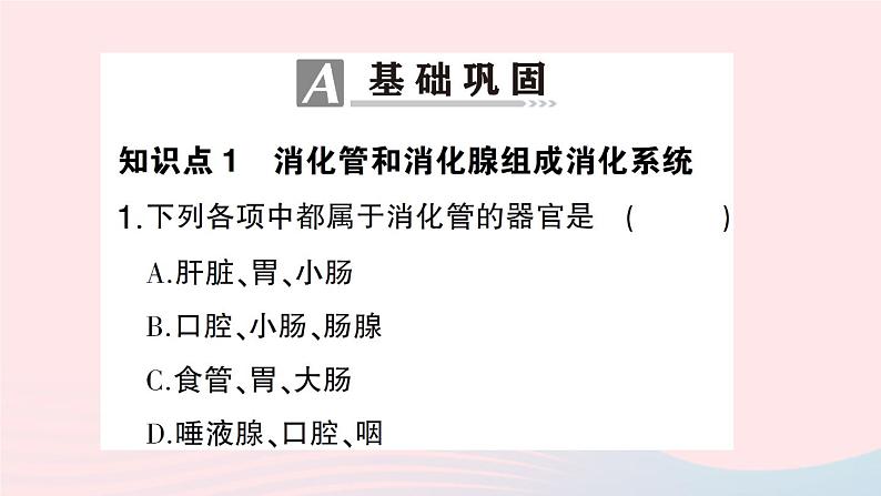 2023七年级生物下册第四单元生物圈中的人第八章人体的营养第2节食物的消化和营养物质的吸收第一课时消化系统的组成食物在口腔内的消化作业课件新版北师大版第6页