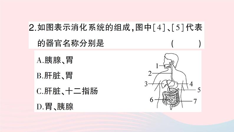 2023七年级生物下册第四单元生物圈中的人第八章人体的营养第2节食物的消化和营养物质的吸收第一课时消化系统的组成食物在口腔内的消化作业课件新版北师大版第7页