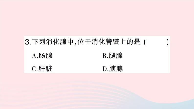 2023七年级生物下册第四单元生物圈中的人第八章人体的营养第2节食物的消化和营养物质的吸收第一课时消化系统的组成食物在口腔内的消化作业课件新版北师大版第8页