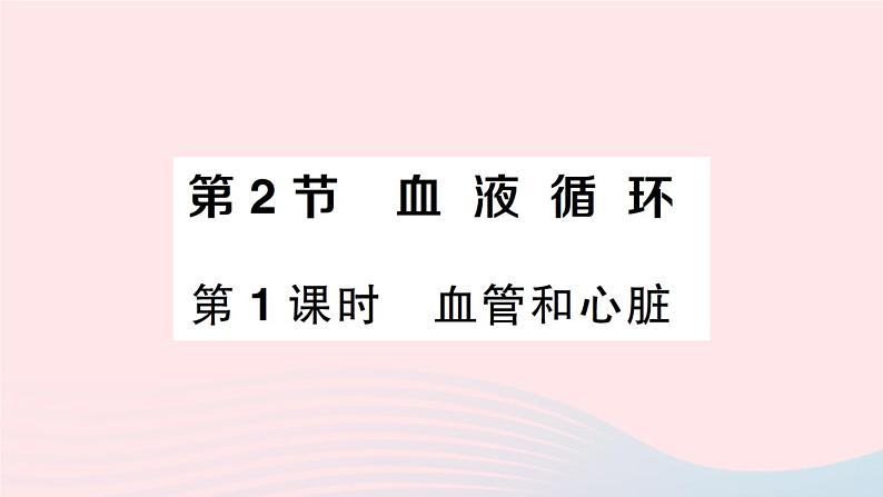 2023七年级生物下册第四单元生物圈中的人第九章人体内的物质运输第2节血液循环第一课时血管和心脏作业课件新版北师大版01