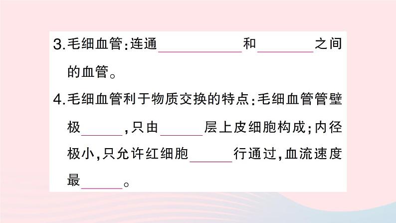 2023七年级生物下册第四单元生物圈中的人第九章人体内的物质运输第2节血液循环第一课时血管和心脏作业课件新版北师大版03