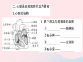 2023七年级生物下册第四单元生物圈中的人第九章人体内的物质运输第2节血液循环第一课时血管和心脏作业课件新版北师大版