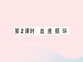 2023七年级生物下册第四单元生物圈中的人第九章人体内的物质运输第2节血液循环第二课时血液循环作业课件新版北师大版