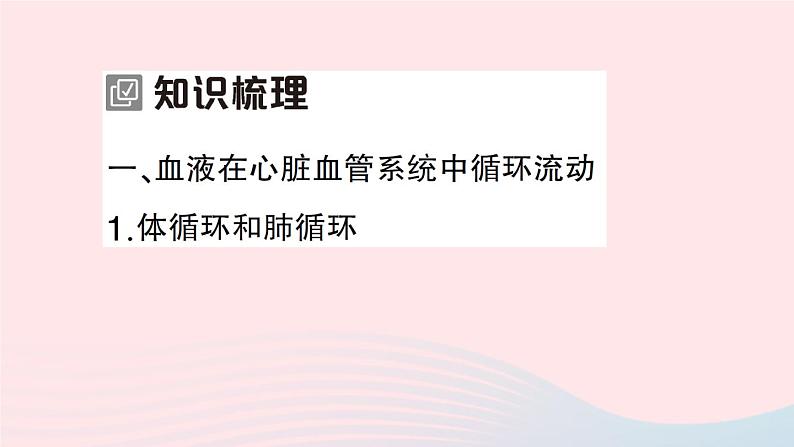 2023七年级生物下册第四单元生物圈中的人第九章人体内的物质运输第2节血液循环第二课时血液循环作业课件新版北师大版第2页