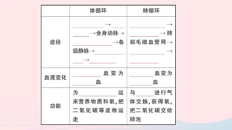 2023七年级生物下册第四单元生物圈中的人第九章人体内的物质运输第2节血液循环第二课时血液循环作业课件新版北师大版第3页