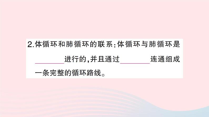 2023七年级生物下册第四单元生物圈中的人第九章人体内的物质运输第2节血液循环第二课时血液循环作业课件新版北师大版第4页