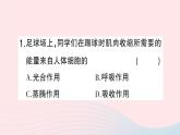 2023七年级生物下册第四单元生物圈中的人第十章人体的能量供应总结训练作业课件新版北师大版