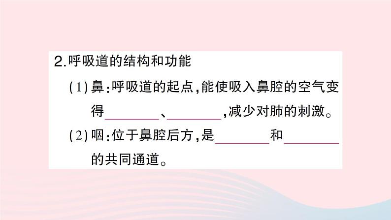 2023七年级生物下册第四单元生物圈中的人第十章人体的能量供应第2节人体细胞获得氧气的过程第一课时呼吸系统的组成与功能呼吸运动作业课件新版北师大版03