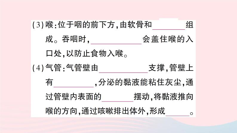 2023七年级生物下册第四单元生物圈中的人第十章人体的能量供应第2节人体细胞获得氧气的过程第一课时呼吸系统的组成与功能呼吸运动作业课件新版北师大版04