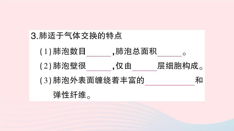 2023七年级生物下册第四单元生物圈中的人第十章人体的能量供应第2节人体细胞获得氧气的过程第一课时呼吸系统的组成与功能呼吸运动作业课件新版北师大版05