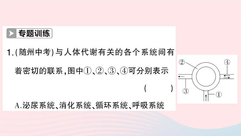 2023七年级生物下册第四单元生物圈中的人第11章人体代谢废物的排出微专题一人体部分生理活动综合作业课件新版北师大版02