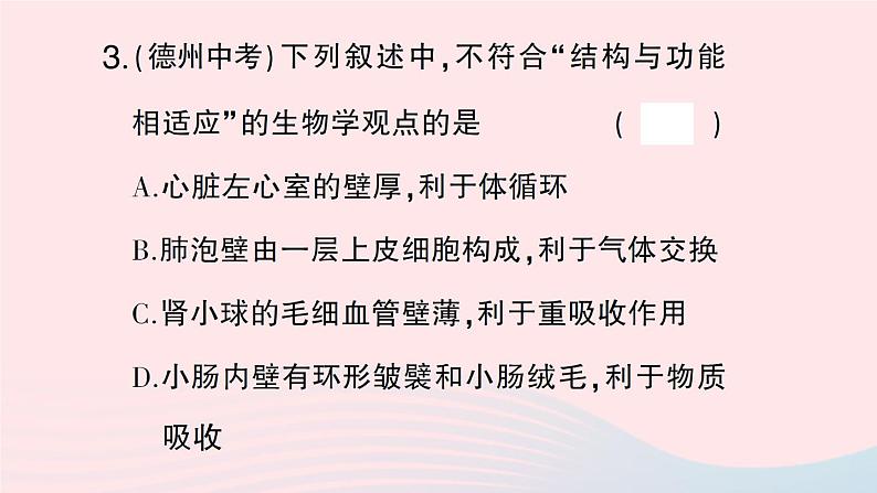 2023七年级生物下册第四单元生物圈中的人第11章人体代谢废物的排出微专题一人体部分生理活动综合作业课件新版北师大版05