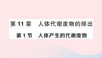 初中生物北师大版七年级下册第四单元  生物圈中的人第11章 人体代谢废物的排出第1节 人体产生的代谢废物作业ppt课件