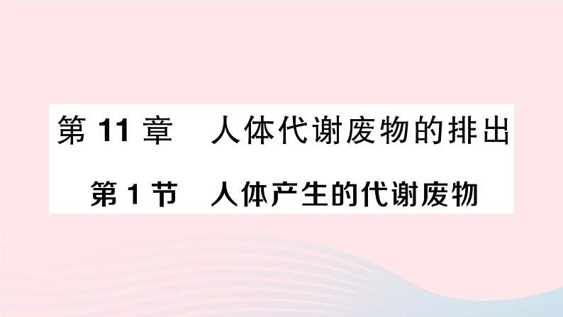 2023七年级生物下册第四单元生物圈中的人第11章人体代谢废物的排出第1节人体产生的代谢废物作业课件新版北师大版01