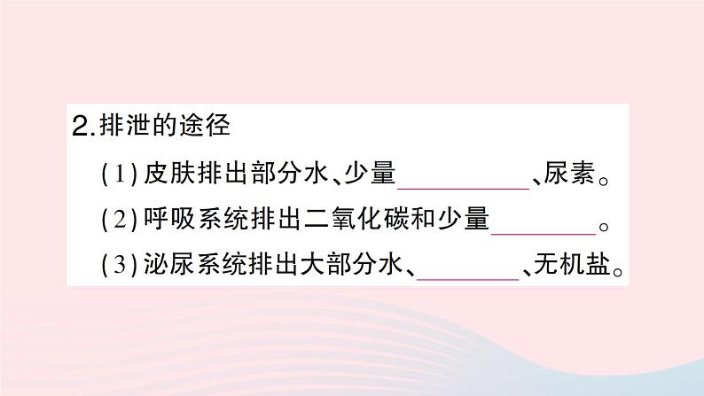 2023七年级生物下册第四单元生物圈中的人第11章人体代谢废物的排出第1节人体产生的代谢废物作业课件新版北师大版05