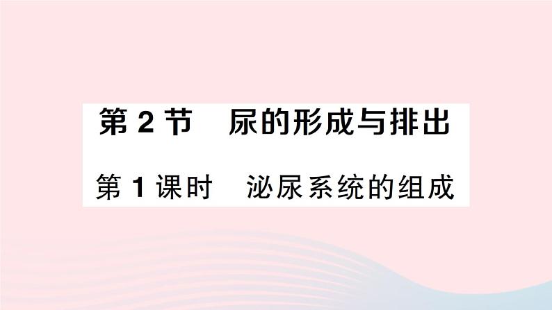 2023七年级生物下册第四单元生物圈中的人第11章人体代谢废物的排出第2节尿的形成与排出第一课时泌尿系统的组成作业课件新版北师大版第1页