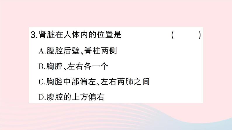 2023七年级生物下册第四单元生物圈中的人第11章人体代谢废物的排出第2节尿的形成与排出第一课时泌尿系统的组成作业课件新版北师大版第7页