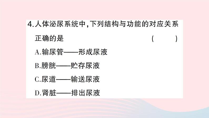 2023七年级生物下册第四单元生物圈中的人第11章人体代谢废物的排出第2节尿的形成与排出第一课时泌尿系统的组成作业课件新版北师大版第8页