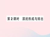 2023七年级生物下册第四单元生物圈中的人第11章人体代谢废物的排出第2节尿的形成与排出第二课时尿的形成与排出作业课件新版北师大版