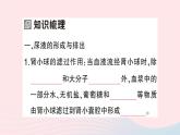 2023七年级生物下册第四单元生物圈中的人第11章人体代谢废物的排出第2节尿的形成与排出第二课时尿的形成与排出作业课件新版北师大版