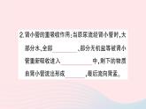 2023七年级生物下册第四单元生物圈中的人第11章人体代谢废物的排出第2节尿的形成与排出第二课时尿的形成与排出作业课件新版北师大版