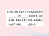 2023七年级生物下册第四单元生物圈中的人第11章人体代谢废物的排出第2节尿的形成与排出第二课时尿的形成与排出作业课件新版北师大版