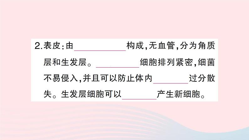 2023七年级生物下册第四单元生物圈中的人第11章人体代谢废物的排出第3节皮肤与汗液分泌作业课件新版北师大版03