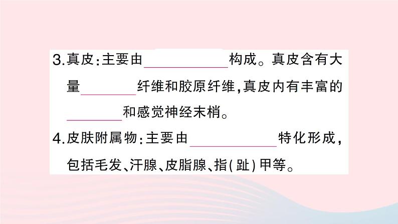 2023七年级生物下册第四单元生物圈中的人第11章人体代谢废物的排出第3节皮肤与汗液分泌作业课件新版北师大版04