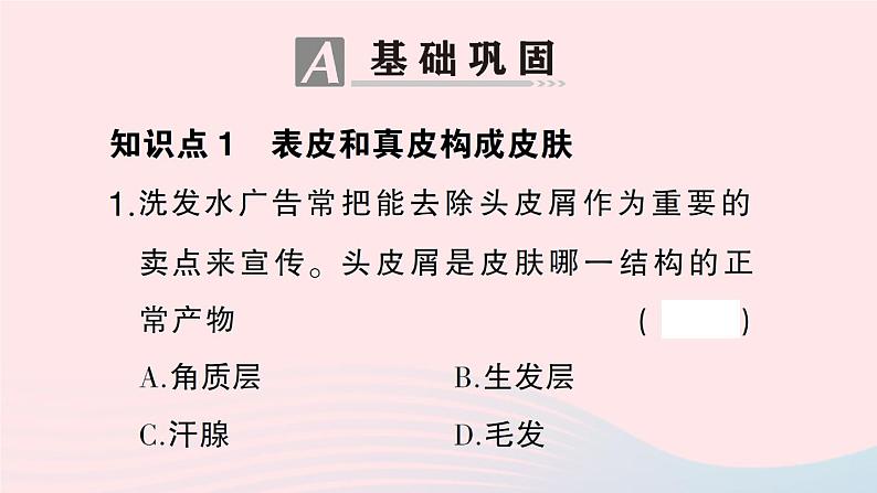 2023七年级生物下册第四单元生物圈中的人第11章人体代谢废物的排出第3节皮肤与汗液分泌作业课件新版北师大版07