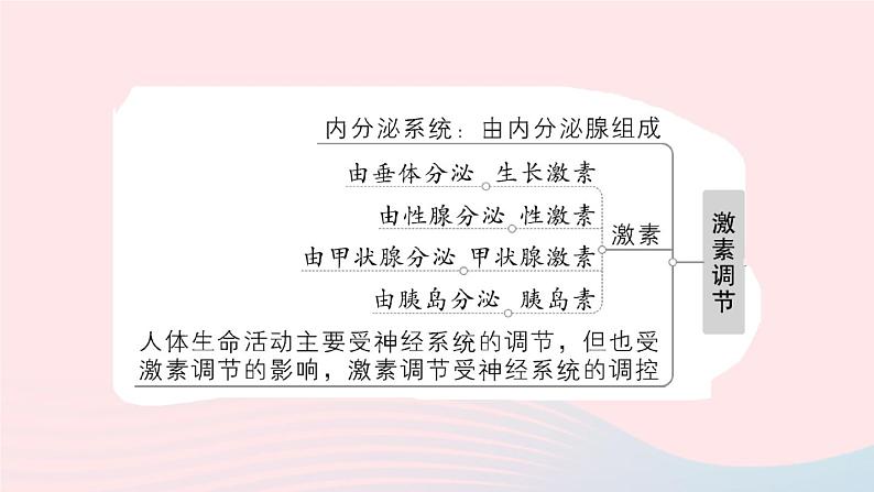 2023七年级生物下册第四单元生物圈中的人第12章人体的自我调节总结训练作业课件新版北师大版03