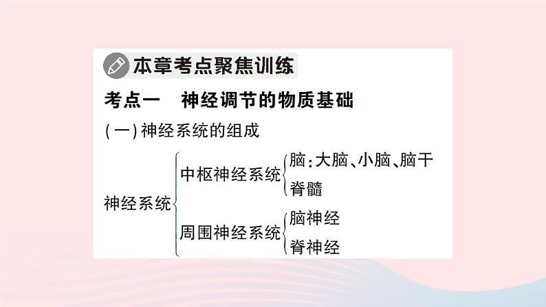 2023七年级生物下册第四单元生物圈中的人第12章人体的自我调节总结训练作业课件新版北师大版05