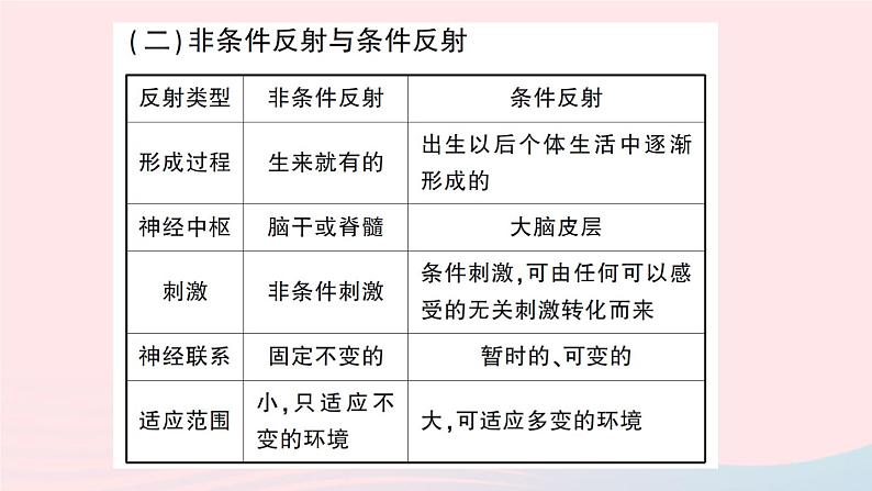 2023七年级生物下册第四单元生物圈中的人第12章人体的自我调节总结训练作业课件新版北师大版06