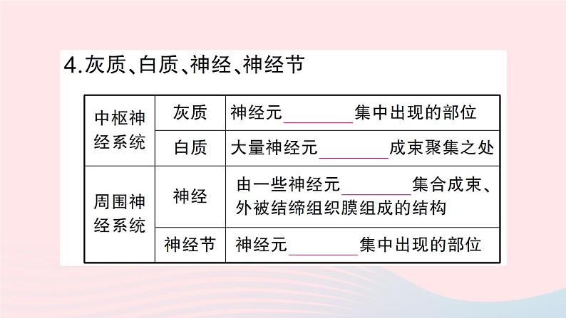 2023七年级生物下册第四单元生物圈中的人第12章人体的自我调节第1节神经系统与神经调节第一课时神经系统的组成及反射作业课件新版北师大版第4页