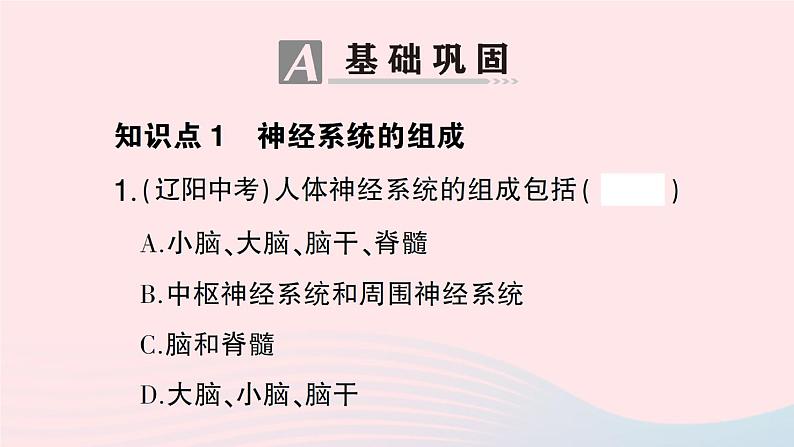 2023七年级生物下册第四单元生物圈中的人第12章人体的自我调节第1节神经系统与神经调节第一课时神经系统的组成及反射作业课件新版北师大版第6页