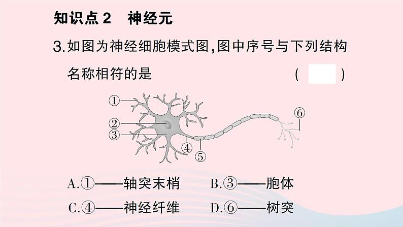 2023七年级生物下册第四单元生物圈中的人第12章人体的自我调节第1节神经系统与神经调节第一课时神经系统的组成及反射作业课件新版北师大版第8页