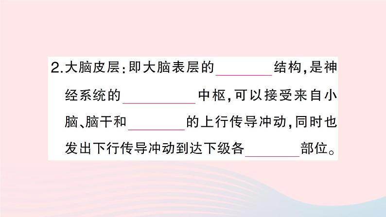 2023七年级生物下册第四单元生物圈中的人第12章人体的自我调节第1节神经系统与神经调节第二课时反射的类型作业课件新版北师大版第4页