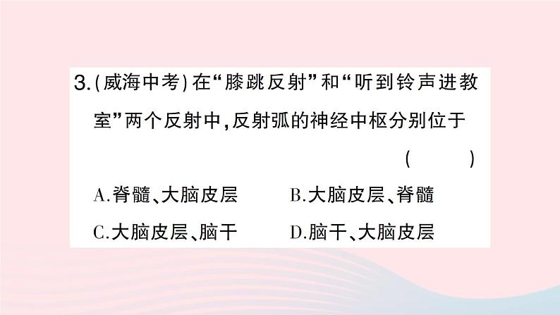 2023七年级生物下册第四单元生物圈中的人第12章人体的自我调节第1节神经系统与神经调节第二课时反射的类型作业课件新版北师大版第8页