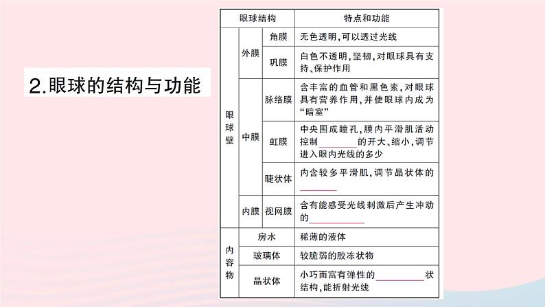 2023七年级生物下册第四单元生物圈中的人第12章人体的自我调节第2节感受器和感觉器官第一课时眼与视觉作业课件新版北师大版第3页