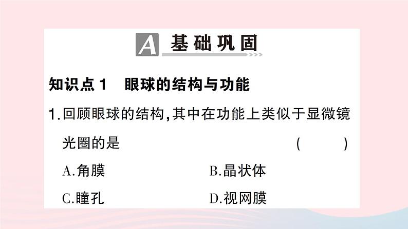 2023七年级生物下册第四单元生物圈中的人第12章人体的自我调节第2节感受器和感觉器官第一课时眼与视觉作业课件新版北师大版第7页