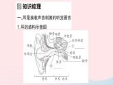 2023七年级生物下册第四单元生物圈中的人第12章人体的自我调节第2节感受器和感觉器官第二课时耳与听觉及其他感觉作业课件新版北师大版