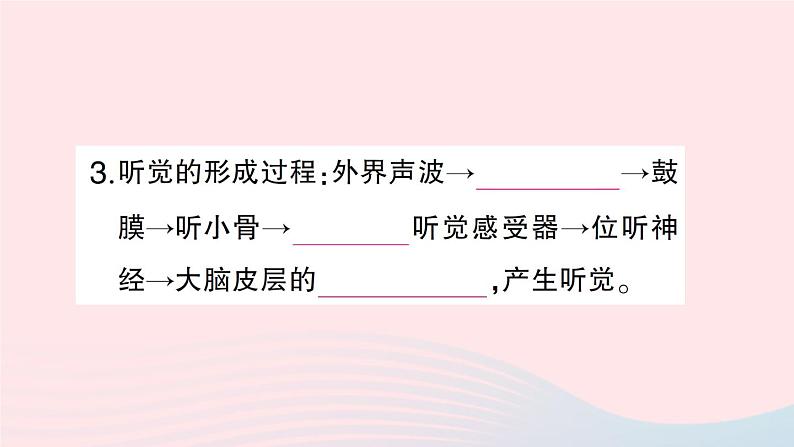 2023七年级生物下册第四单元生物圈中的人第12章人体的自我调节第2节感受器和感觉器官第二课时耳与听觉及其他感觉作业课件新版北师大版04