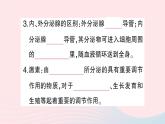 2023七年级生物下册第四单元生物圈中的人第12章人体的自我调节第3节激素调节作业课件新版北师大版