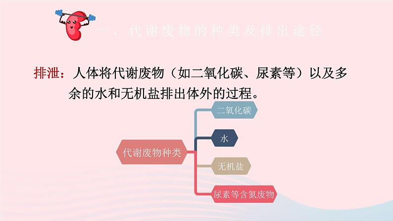 2023七年级生物下册第四单元生物圈中的人第11章人体代谢废物的排出第1节人体产生的代谢废物课件新版北师大版07