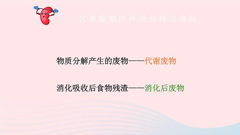 2023七年级生物下册第四单元生物圈中的人第11章人体代谢废物的排出第1节人体产生的代谢废物课件新版北师大版08